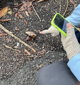 Snail© Krista Hanni