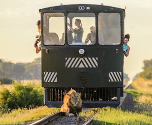 Elephant Express Railcar© Imvello Safari Lodges