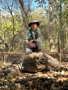 Komodo Dragon with Traveler 6ft Away© Krista Hanni