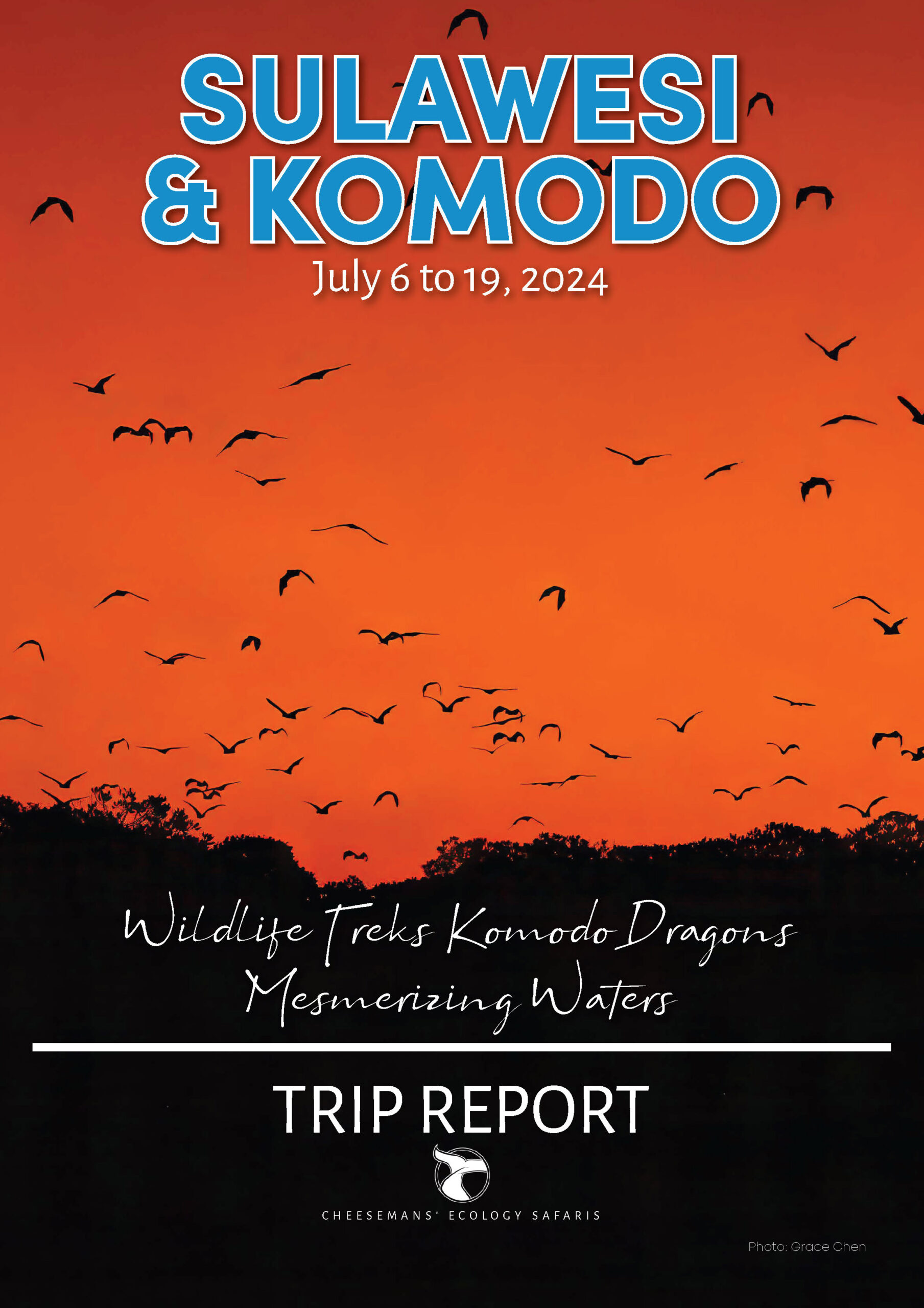 Sulawesi & Komodo July 2024 Trip Report