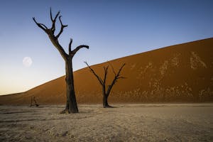 Deadvlei © Scott Davis