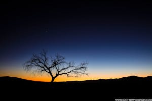 Sunrise on the Dunes© Scott Davis