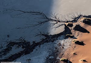 Desert© Scott Davis