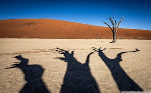 Deadvlei © Scott Davis