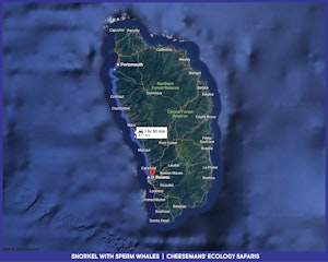 Snorkel with Sperm Whales Map