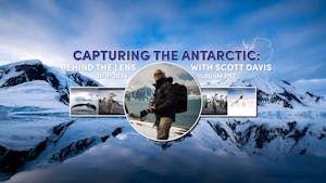 Capturing the Antarctic: Behind the Lens with Scott Davis