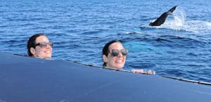 Humpback with Travelers© Steve Thompson