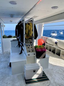 Dive Deck© Sandara Yassin