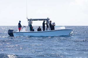 Tender© Luke Tingley