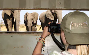African Elephant from Blind © Imvelo Safari Lodges
