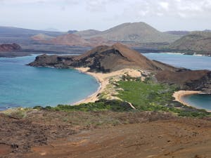 Landscape© Laurel Devaney