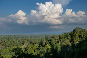 Landscape© Keri and Glenn Ciegler