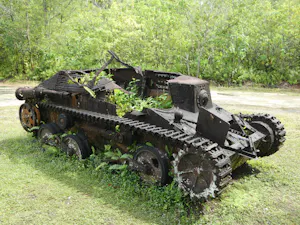 Japanese Tank© Adam Walter