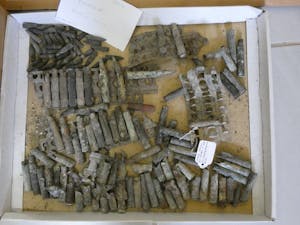 Museum© Adam Walter