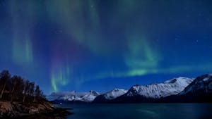 Borealis © Stefan Froehlich