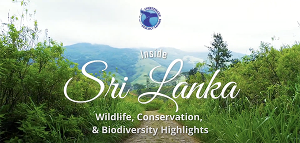 Inside Sri Lanka - Wildlife, Conservation, and Biodiversity Highlights