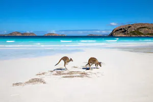 Kangaroo Island © Cheesemans’ Ecology Safaris
