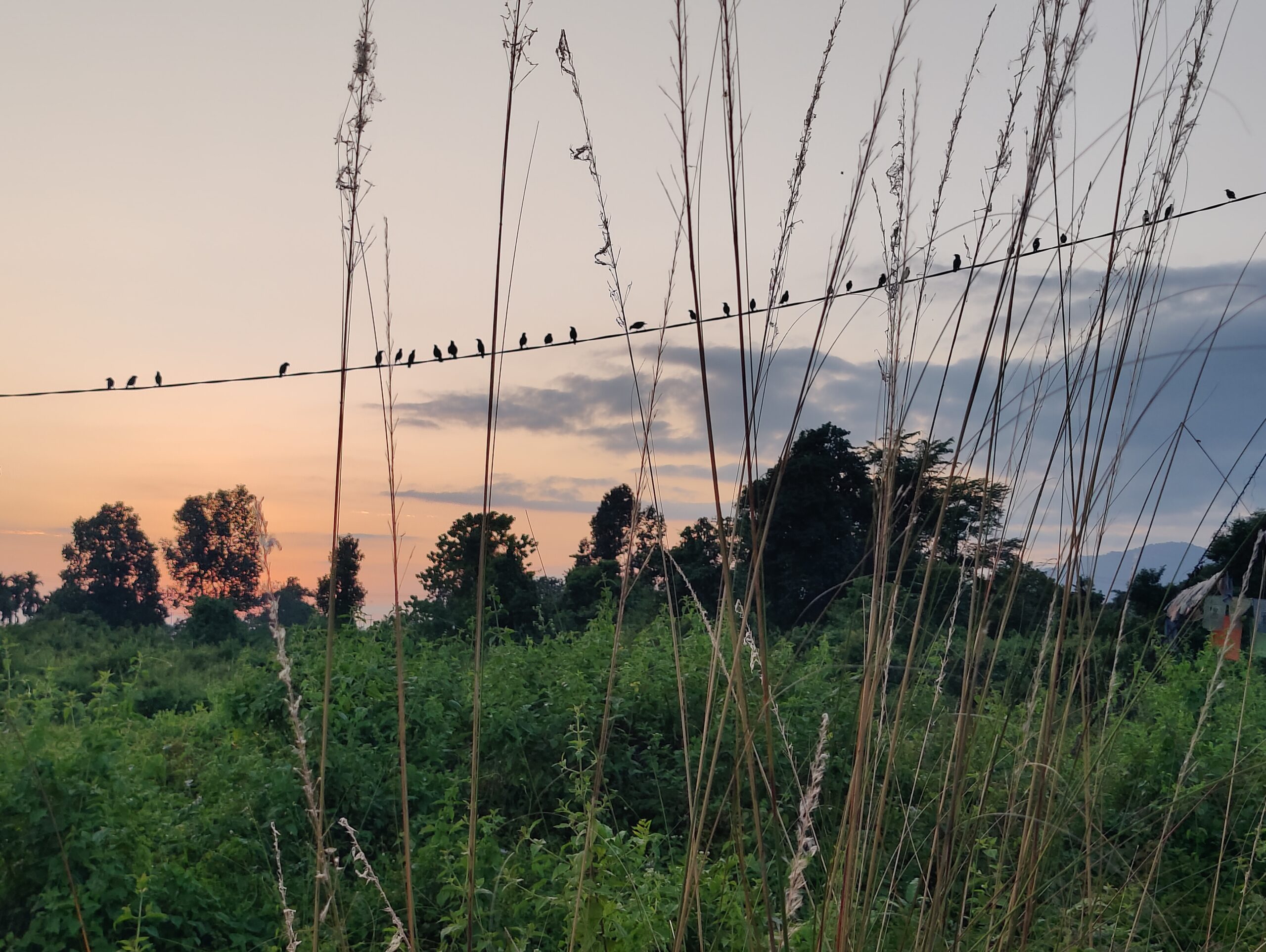 Sunset© Judy & Jim McTigue