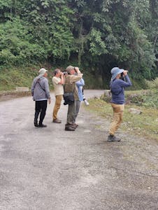 Travelers© Judy & Jim McTigue