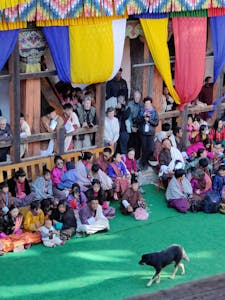 Festival© Judy & Jim McTigue