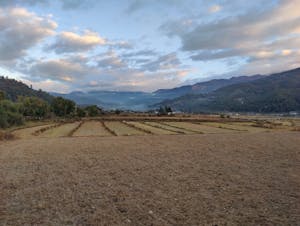 Landscape© Judy & Jim McTigue