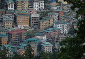 Urban Landscape© Lynn Salmon