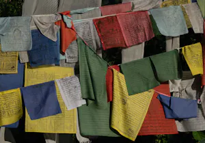 Prayer Flags© Lynn Salmon