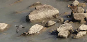 Unknown© Candy Mcmaniman