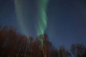 Aurora Borealis© Stephen Gorfien