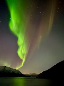 Aurora Borealis© Steve Thompson