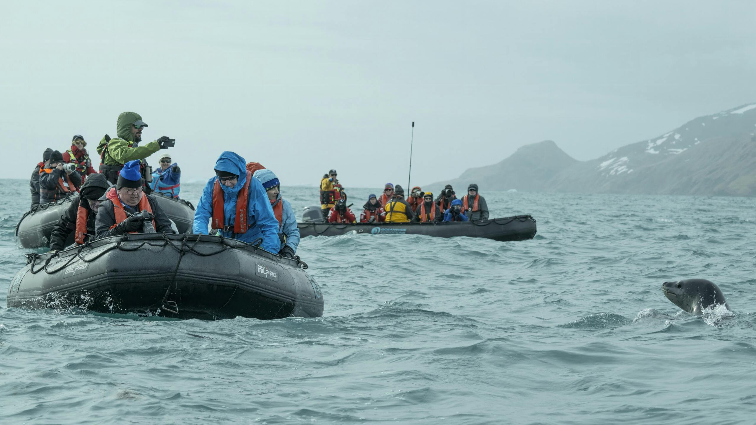 Travelers with Leopard Seal© Scott Heppel