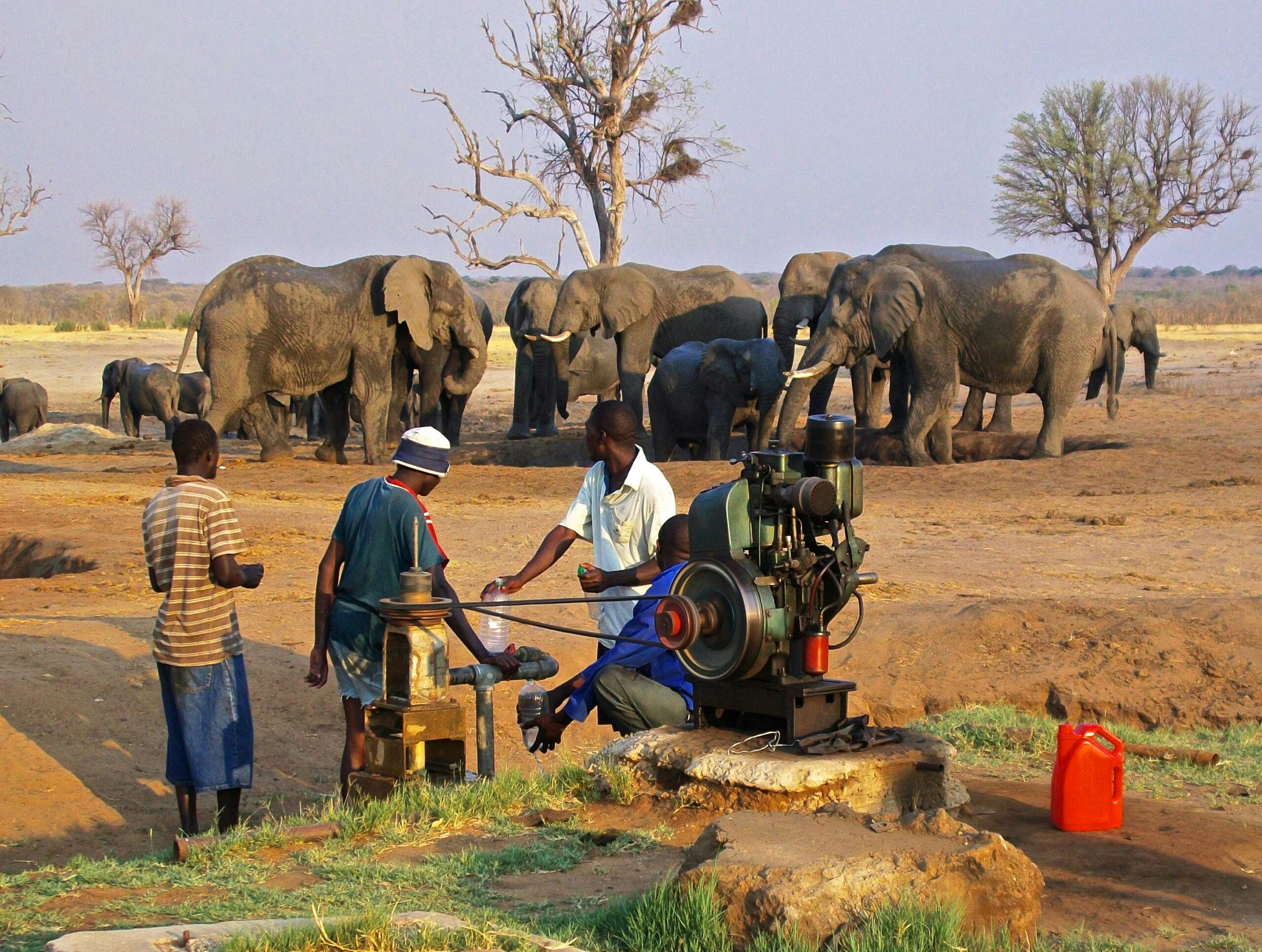 Local Conservation in Zimbabwe© Imvelo Safari Lodges