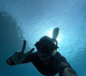 Snorkeler© Mark Langston