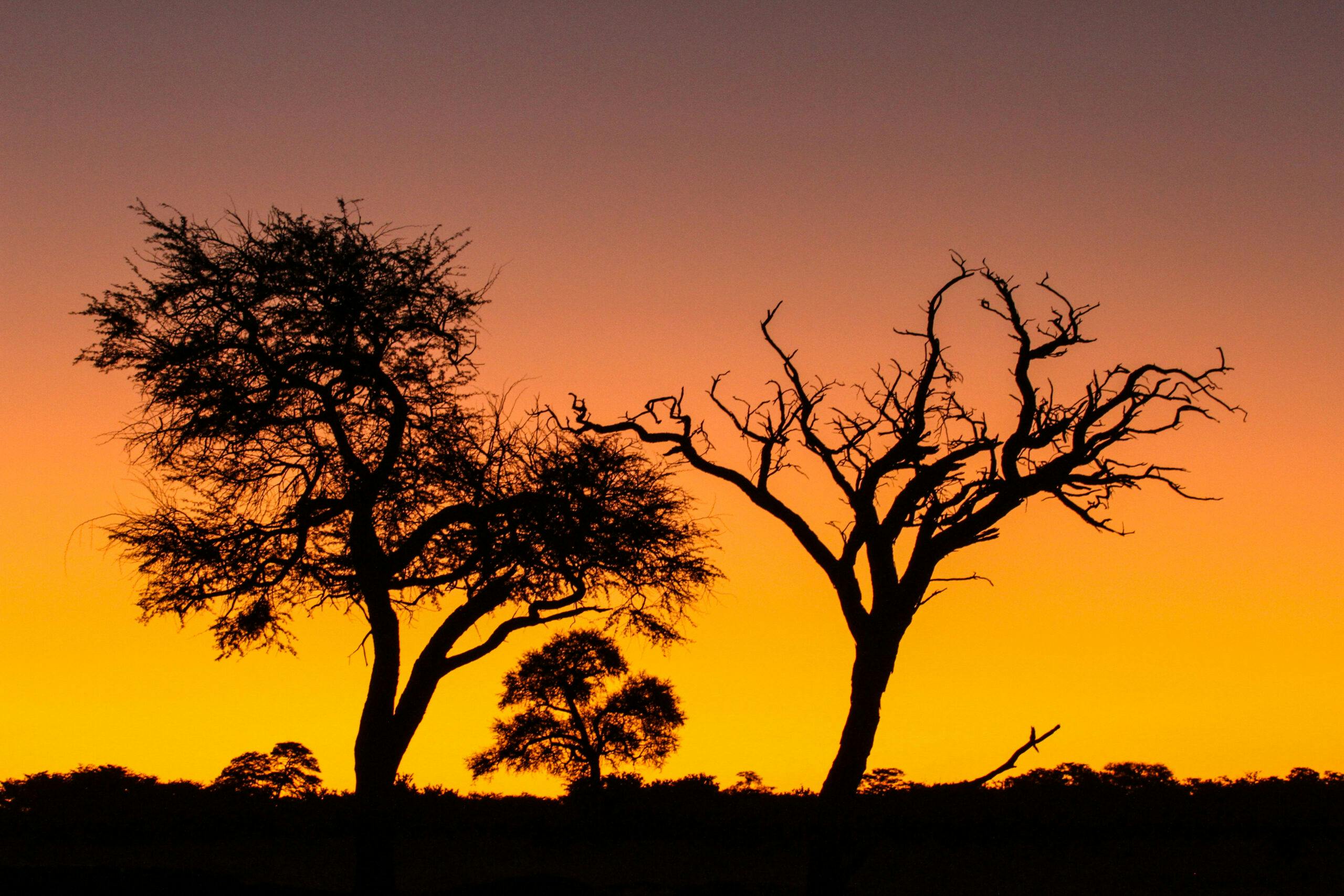 ZimbabweSunset© Imvelo