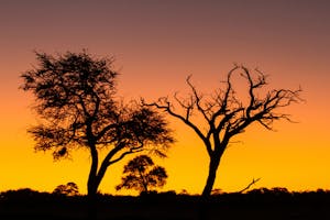 ZimbabweSunset© Imvelo