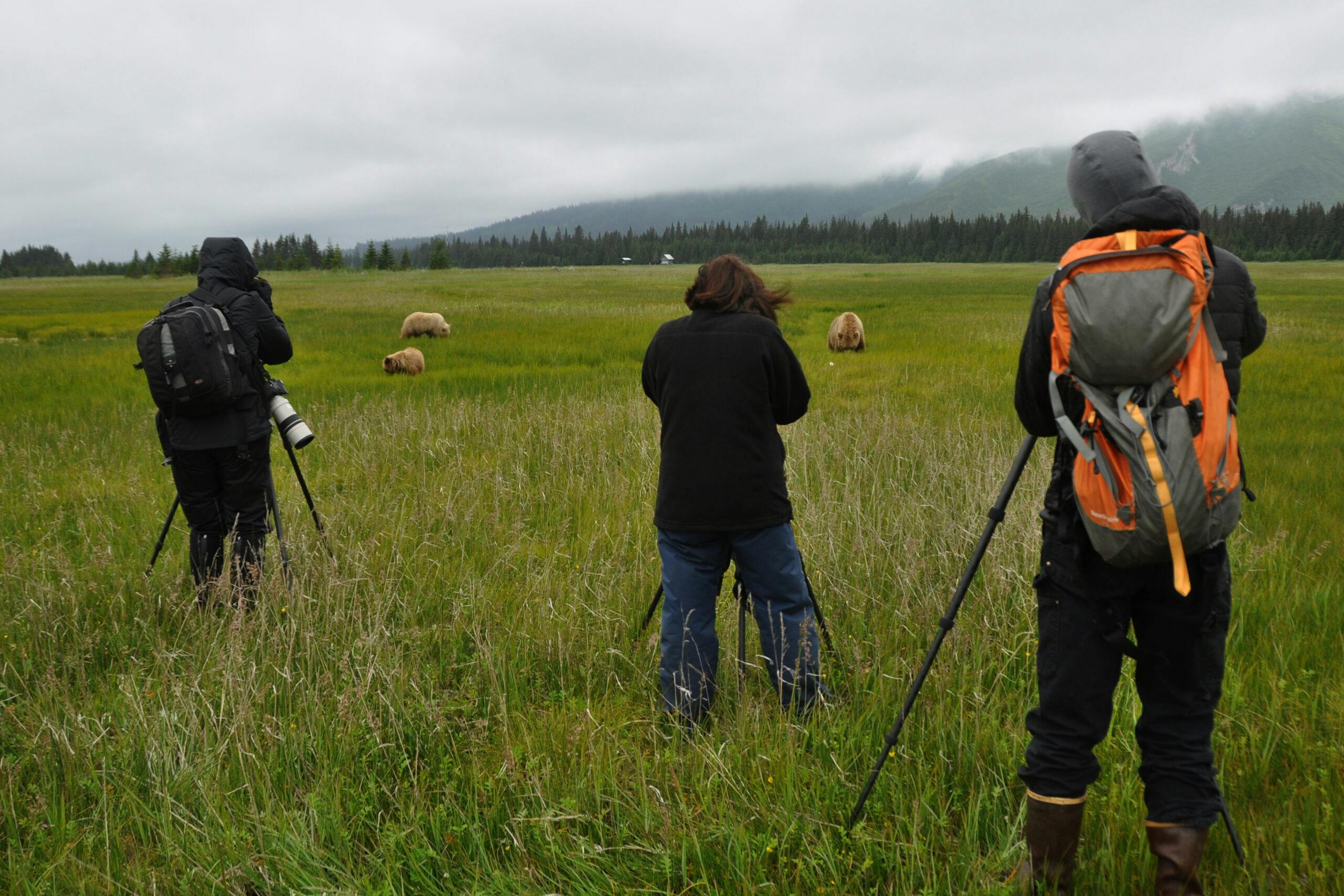 Alaska Travelers© Suzy Huysmans