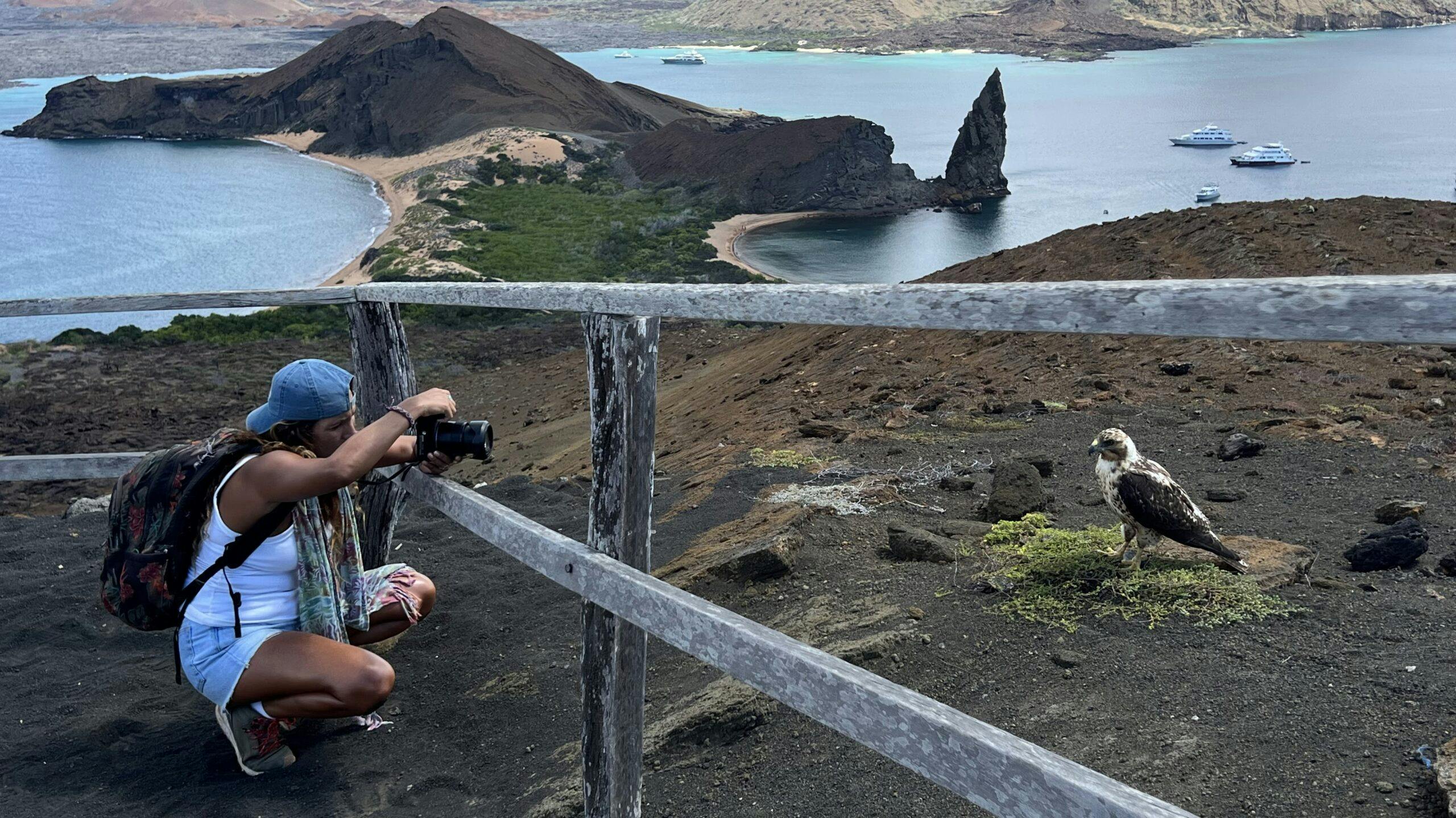 Traveler & Galápagos Hawk© Jonathan Mash