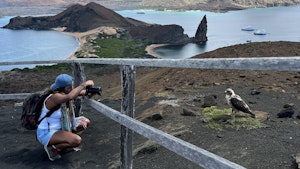 Traveler & Galápagos Hawk© Jonathan Mash