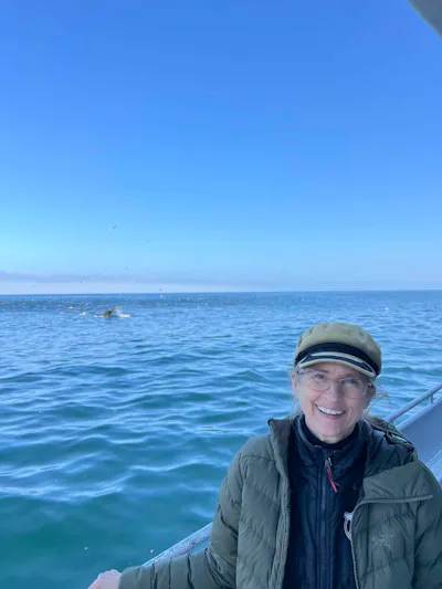 Monterey Bay wildlife