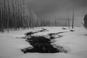 Landscape© Chris Desborough
