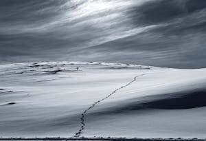 Landscape© Chris Desborough