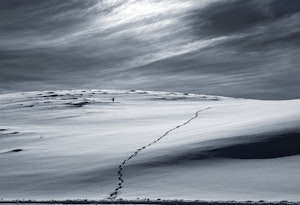 Landscape© Chris Desborough