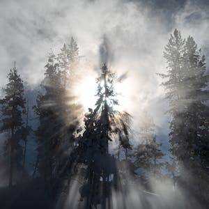 Sundog© Ann Laubach