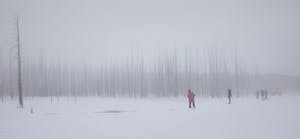 LandscapeAnn Laubach