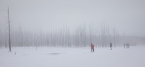 LandscapeAnn Laubach