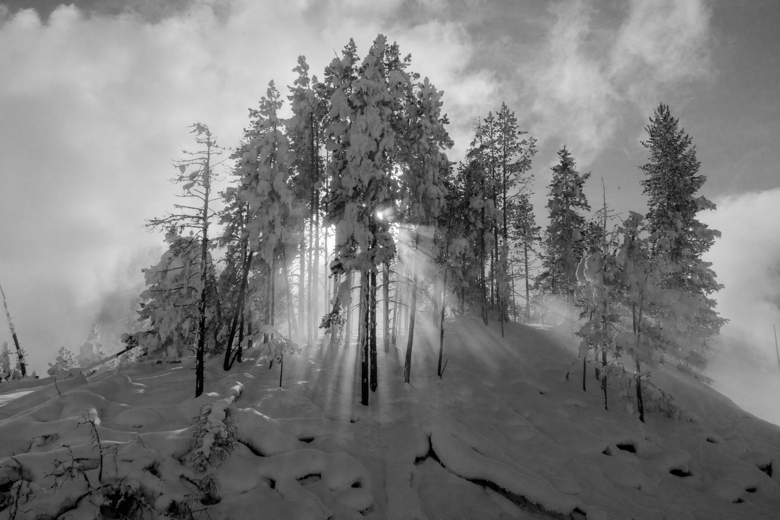 Landscape© Mary Ann Fernandez