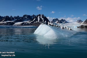 Landscape© Jack Hochfeld
