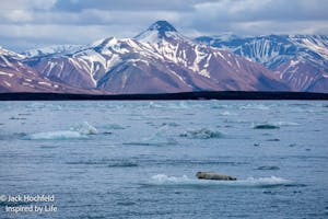 Landscape© Jack Hochfeld