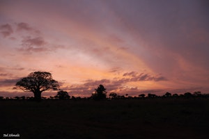 Sunset © Ted Schmaltz