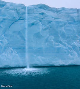Iceberg Waterfall© Dianne Estrin